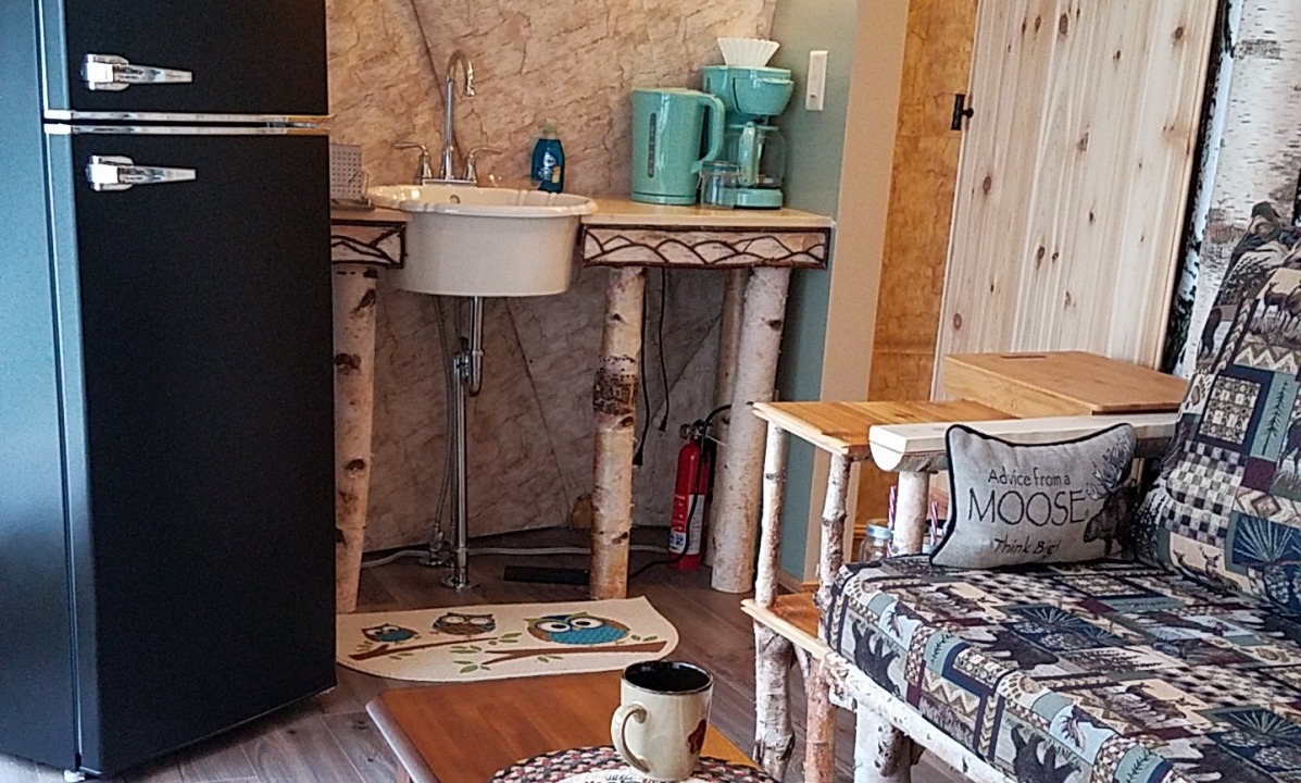 Retro fridge, microwave, custom built birch vanity/sink, sliding cedar barn door